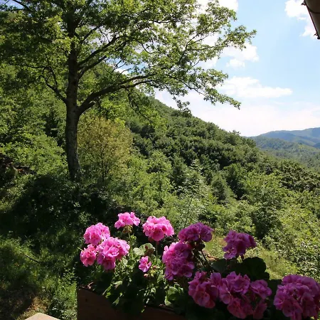 Cozy In Tranquillo Italy With Swimming Pool